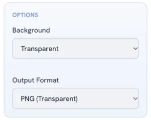 Standard Remove Background options showing Transparent background and PNG output